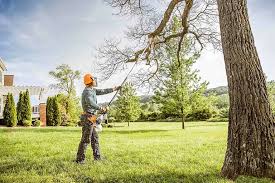 Seasonal Cleanup (Spring/Fall) in Redway, CA