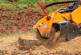 Lawn Pest Prevention in Redway, CA