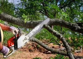 Best Lawn Watering Services  in Redway, CA